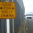 Dolly trains